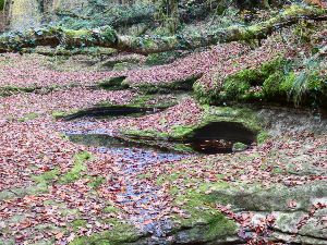 Audeux - Roche de Chatard - Cuves de Blfond