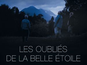 film : les oublis de la belle toile 