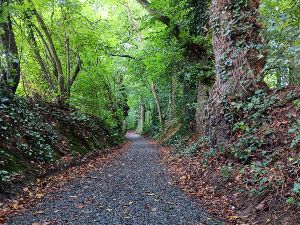 Entre ville et campagne