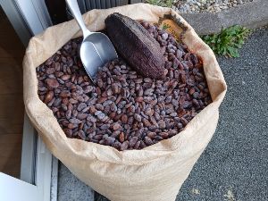 Visite d une chocolaterie