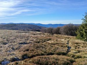 Randonne haute vosges