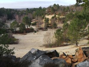 Petite Rando tranquille en foret de Poligny