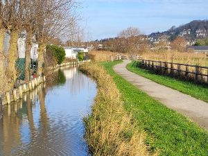 Le marais de Villers-Blonville