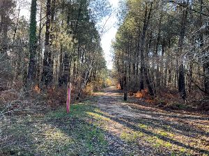 Rando Reco Boucle de Leognan