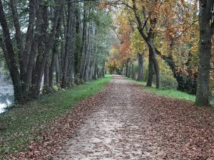 Footing passion  Cesson