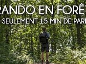 Marche dans le bois de Boulogne