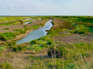 marais de beaugeay , Moeze , st froult, soubise 