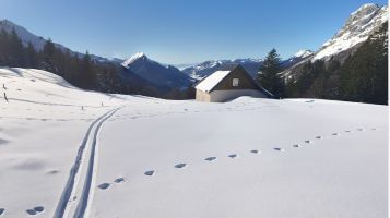 Col de Chrel en raquettes o pas (Bauges 73)