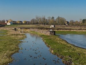 Dcouverte de la faune sauvage des marais de la Di