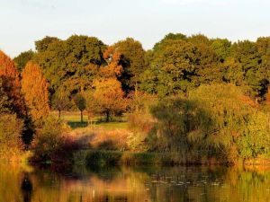  l'arboretum  Chvreloup Versailles - Gratuit