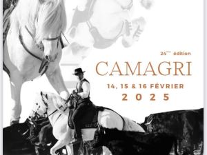 salon du cheval  de  CAMARGUE 