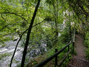 Rando boucle picnic au dpart de Maisdon sur Svre