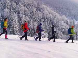 Raquettes  neige - Col de Bretaye (Villars)