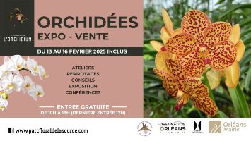 Visite Exposition d'orchides au parc floral