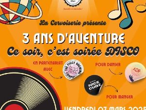 Soire Disco, musique et danse