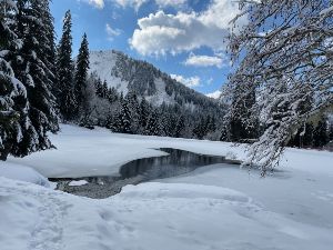 Morzine les mines d'or raquettes