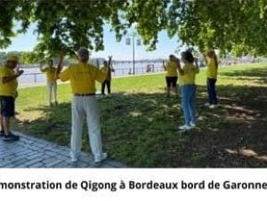 Cours de QiGong 