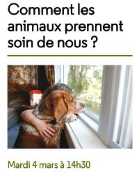 Comment les animaux prennent soin de nous 