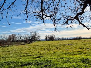 Randonne aux environs de Lentilly 