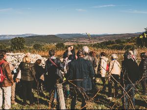 Visite et dgustation au Chteau Bas d'Aumelas