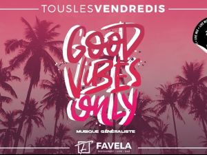 Soire Dansante Good Vibes LA FAVELA (Treillires)