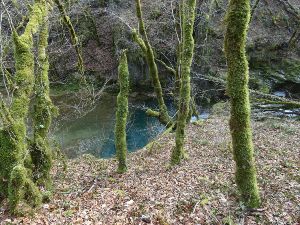 Cuves Assey - Gouffre du Seu- Chatel ...