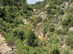 Le Mont Redon  Montouliers