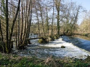 Boucle 23Km  Montaigu (85)  picnic bord de lac