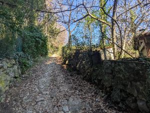 Chemins ancestraux de Bar/Loup