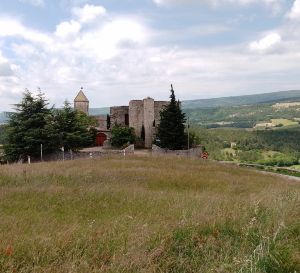 Randonne Chemin des lavandes  Sault