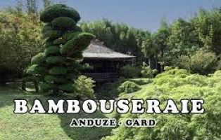 Belle 'Aventure  la Bambouseraie d'Anduze