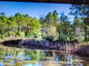 Les trois lacs Puget sur Argens