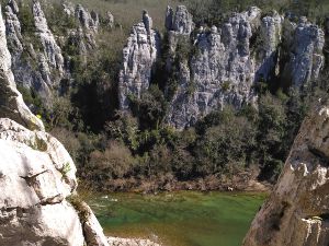  Cirque d'Endieu Renard Actinidias
