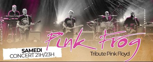 Concert du groupe  Pink Frog   Crpy En Valois
