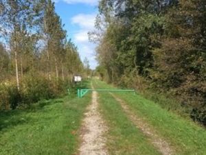 Marche dans  les marais d'Albens