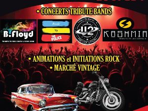 Festival ROCK IN LOC 4 groupes exceptionnels 🔥