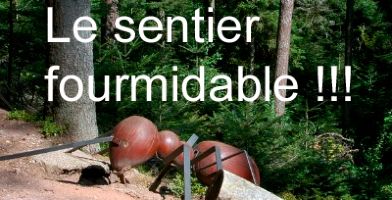 Bruyres, la rando des fourmis