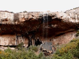 Marche Vitrolles Rognac - vabre de Malaga ...