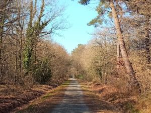 Rando 24 km mixte fort  de Grasla la Rabateliere 