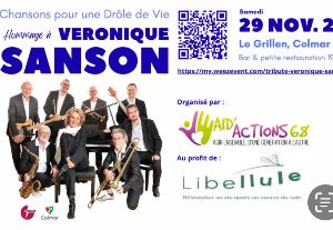 Concert Solidaire - Hommage  Vronique Sanson