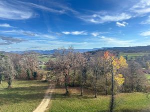 Rando   1  - Lucelle France / Suisse  