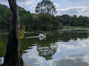 Marche au lac du hron 