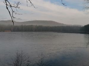 Etang de Hanau - Falkenstein