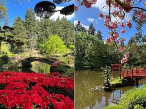  L'art des jardins Japonais 