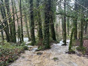 Rando  2 - Lucelle  France / Suisse - 20km s/500D