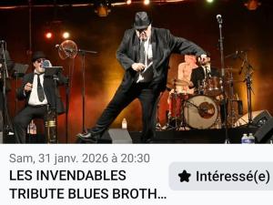 Tribute Blues Brothers Les Invendables