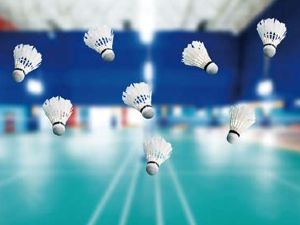 Badminton interm�diaire/avanc� Vernier