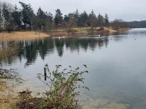 rando 45 kms Neuville-for�t St Germain et retour