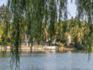 Marche soutenue 5.5 kms/h bords de Seine 