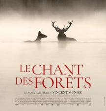 Cin�: le chant des for�ts